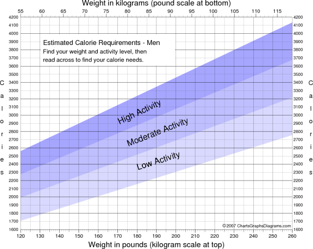 Calorie Requirements For Weight Loss Absolutely Thin